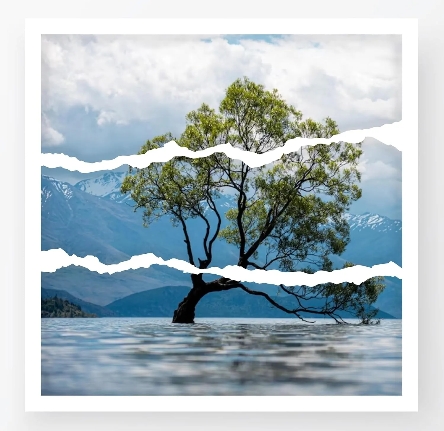 Nature Panorama
